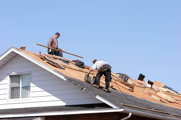 Best Metal Roofing Installation  in Laurel Hill, NC