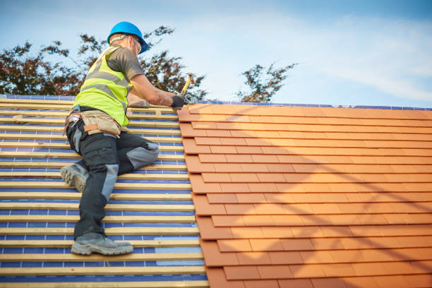 Best Asphalt Shingles Roofing  in Laurel Hill, NC