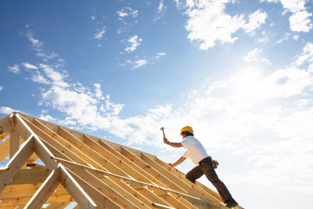 Best Roof Maintenance and Cleaning  in Laurel Hill, NC